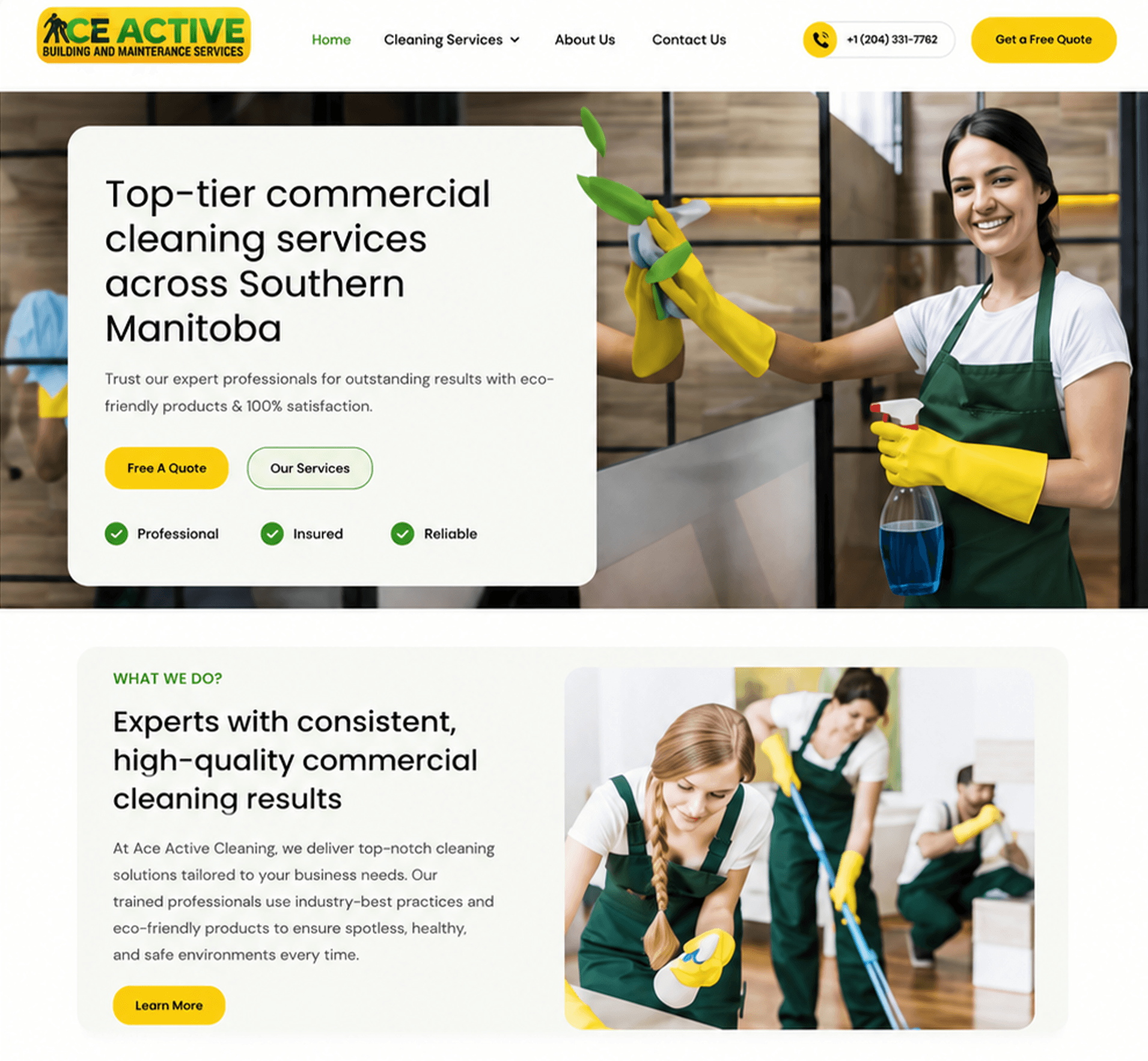 Ace Active Cleaning